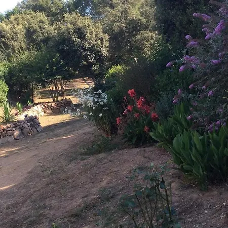 Le Apartment Porto-Vecchio (Corsica)