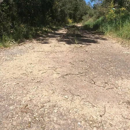 Le Porto-Vecchio (Corsica)