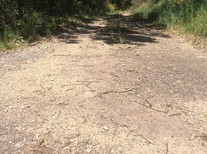 Le Porto-Vecchio (Corsica)